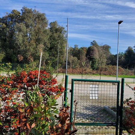 Appartamento 9 Residance Piviere Calambrone Eksteriør billede