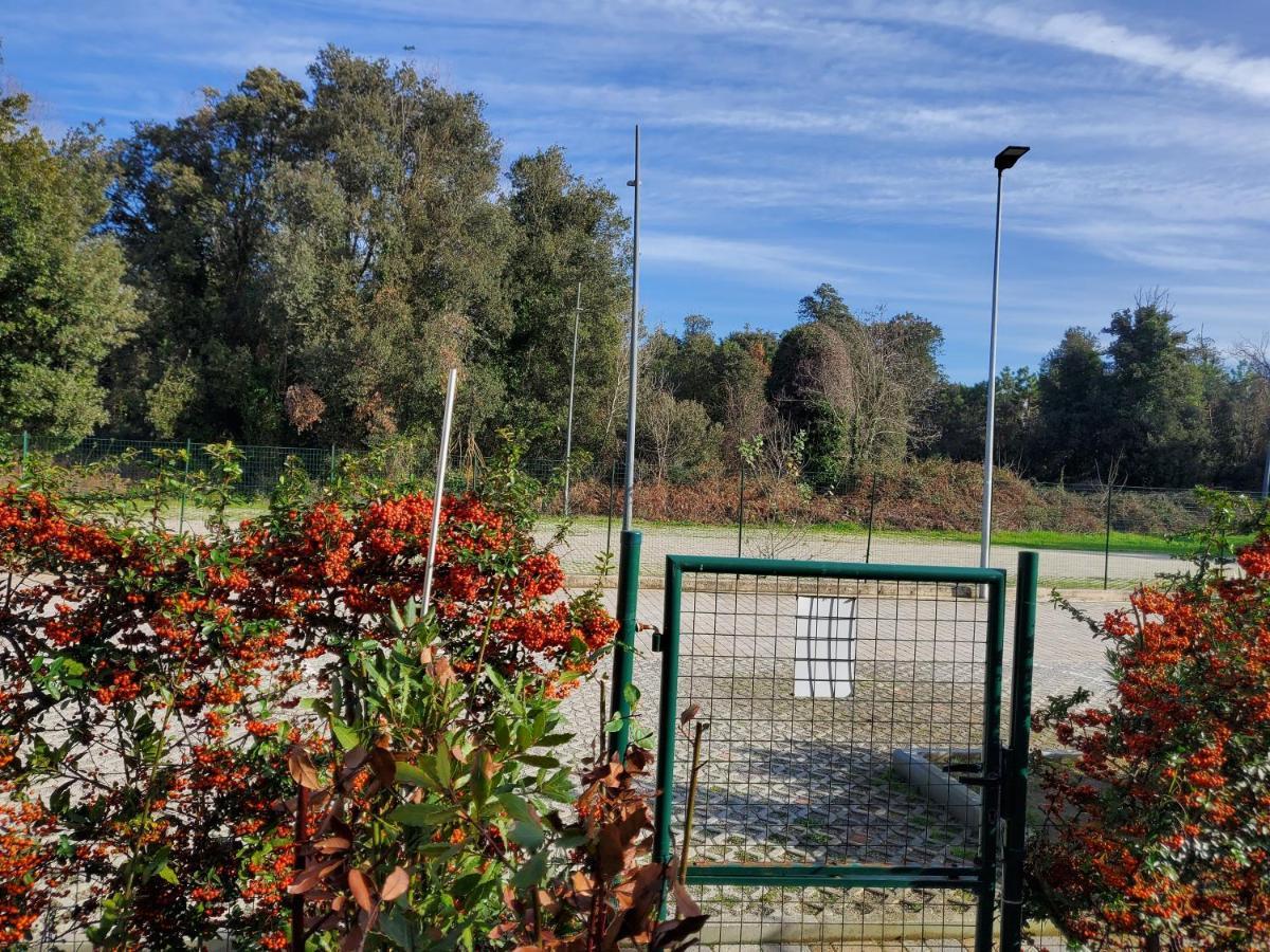 Appartamento 9 Residance Piviere Calambrone Eksteriør billede